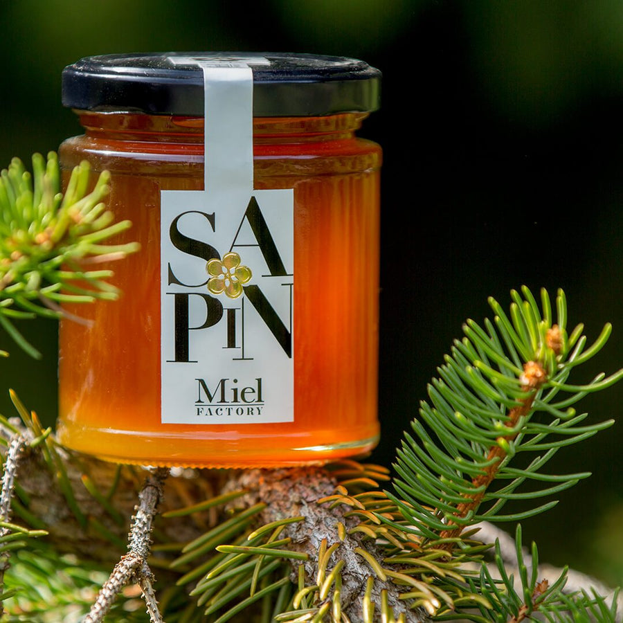 Miel de Sapin, pur et Naturel